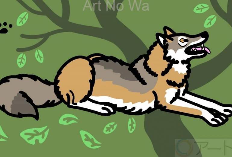 ヨーロッパオオカミ