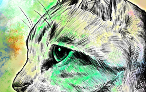 未来へ - 【イベント】可能性アートプロジェクト 2026 