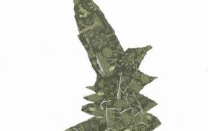 ワニ - もぐちゃん