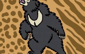 インドナマケグマ - 【イベント】可能性アートプロジェクト 2026 