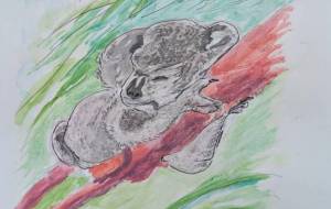 コアラの昼寝 - Hiro 