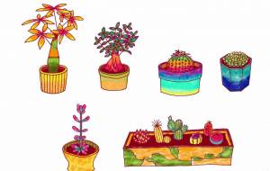 カラフルな観葉植物 - 工房はんど さくらもち