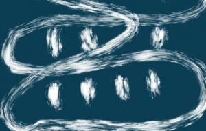 うねうね サロン。 - 【イベント】可能性アートプロジェクト 2026