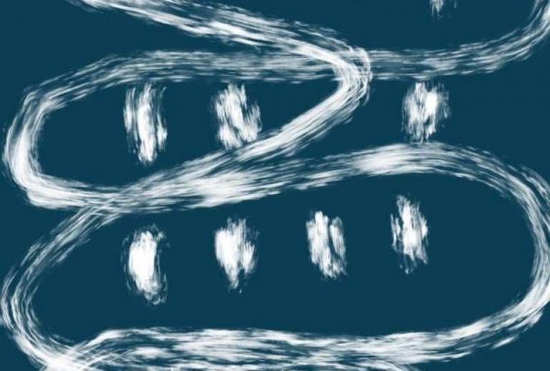 うねうね サロン。