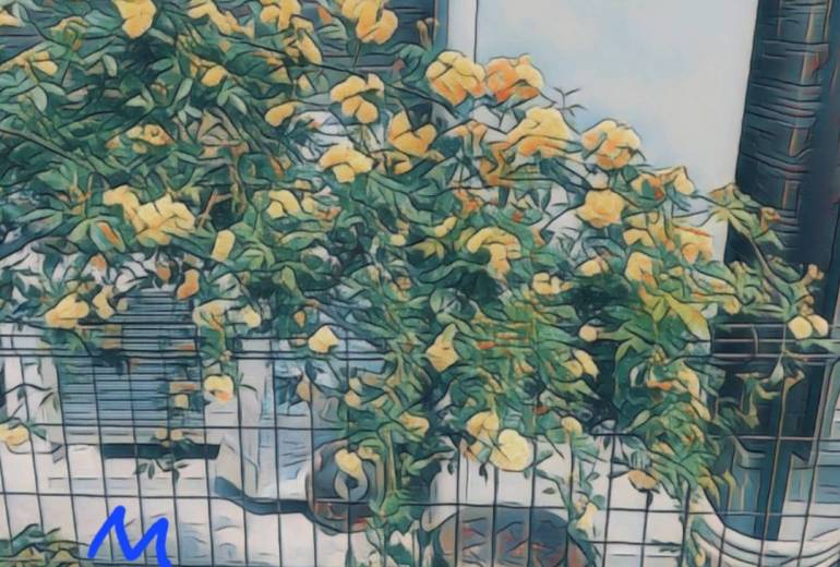 花は 満載です.