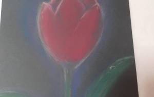 無題 - ゆきんこ 