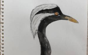 動物2 - GENTIL