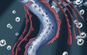 リュウグウノツカイ - Hagane