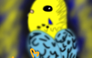 インコは見た - あおい