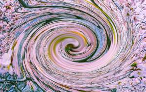 Vortex - Yukihiro Sato 