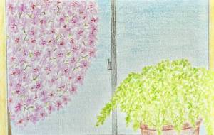 外でも内でも大切にされている - MIRI