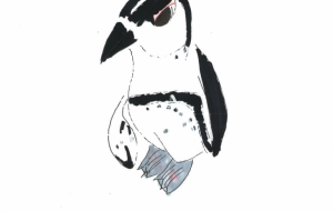 ペンギン - HIRO