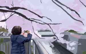 桜と母 - ヒカル