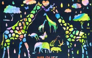 WILDLIFE - 【イベント】可能性アートプロジェクト 2026 