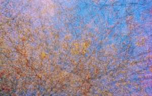 重なり合う - Yukihiro Sato 