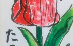 チューリップ - 菅井良翔 