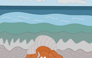 ヤドカリが海から出て来る所 - アクター 