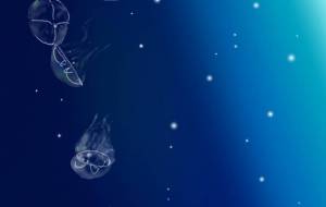 クラゲ - ちはる