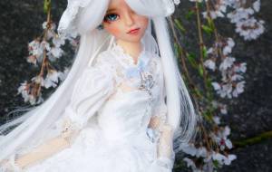 桜 - 美南星  月 