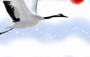 泳鶴 - 落合浩太郎