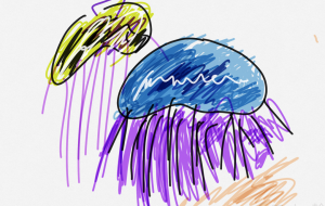 2匹のクラゲ - はるっち