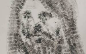 哲学者 - 原 学志 