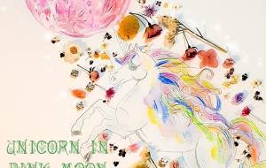 ピンクムーンとユニコーンとドライフラワー - Flower stone kaila