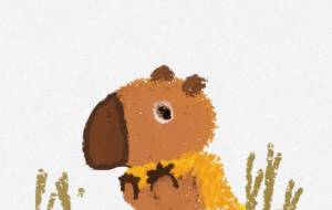 イエローマント - おかp 