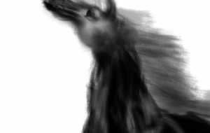 2026午年 - ネットスクウェアNET年賀状 ✕ 障がい者アート協会【2026年午年年賀状】 NS2026 