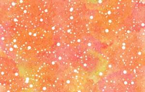 みかん - まかろんちゃん