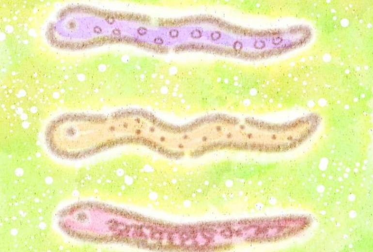 にょろにょろへび