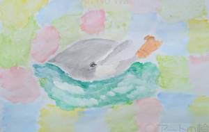 イルカとの触れ合い - Miyumomo 