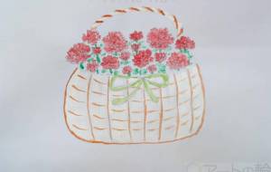 母の日にカーネーション - Miyumomo 