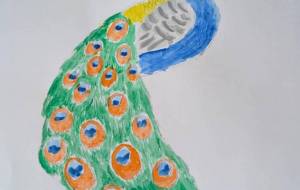 クジャク - Miyumomo 