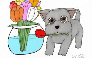 チューリップとシュナウザー - 聖羽SEIHA