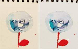 可愛い花アップversion - ぴぴ 