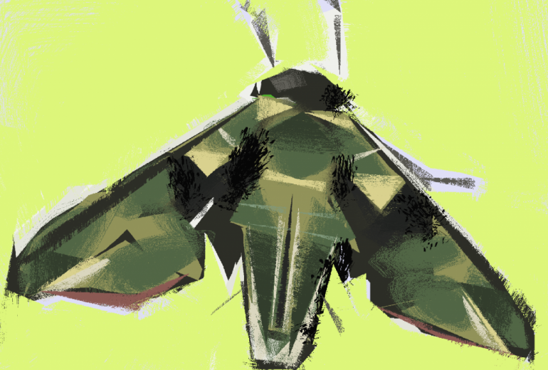 ウンモンスズメ