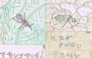 アカシマサシガメとマスダクロホシタマムシ - 虫太郎 