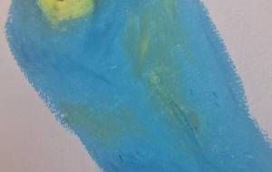 セキセイインコ - 葉 