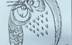 フクロウ - KAZUO