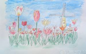 チューリップ畑と風車 - Hiro 