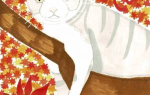 Fall ＆　Cat - 幸 
