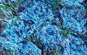 ばら、十部咲き。ぜうてう用 - 久保田 俊