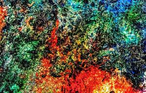 緑の息吹、デジタル - 久保田　俊 