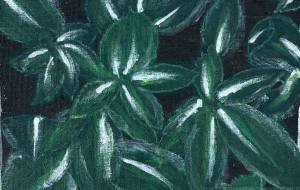 はっぱ - From　R 