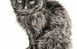 クロちゃん - 山田貴裕 