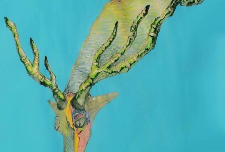 海から産まれた