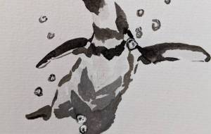 泳ぐペンギン - 喜子