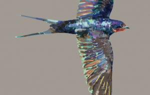 とぶツバメ - 日野 歩