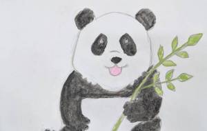 パンダ - Hiro 